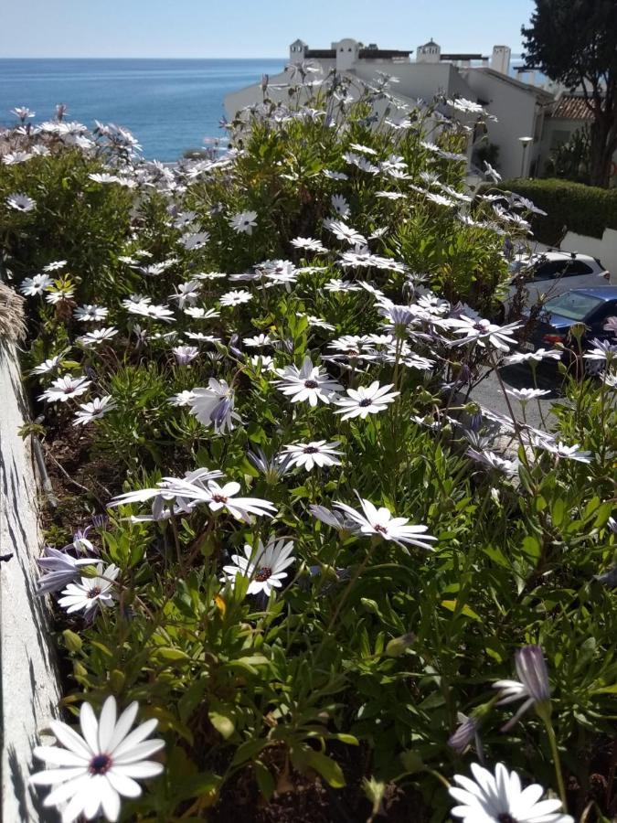בנאלמדנה Espectacular Apartamento En Primera Linea De Playa מראה חיצוני תמונה